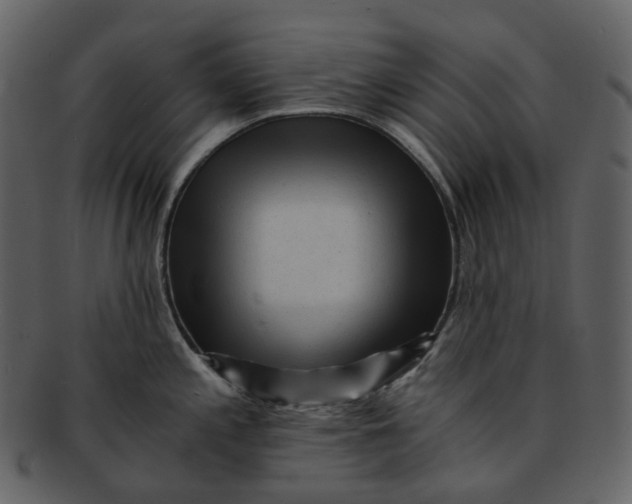 X0000092311197200710051233