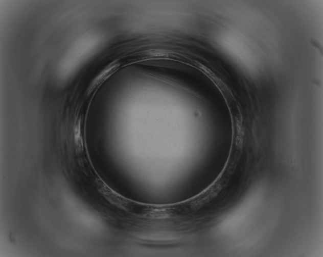 X0000092311198200710051233