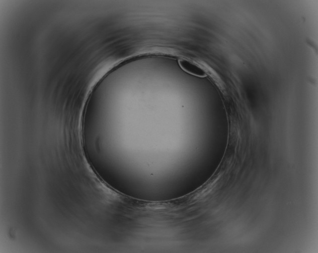 X0000092311199200710051233