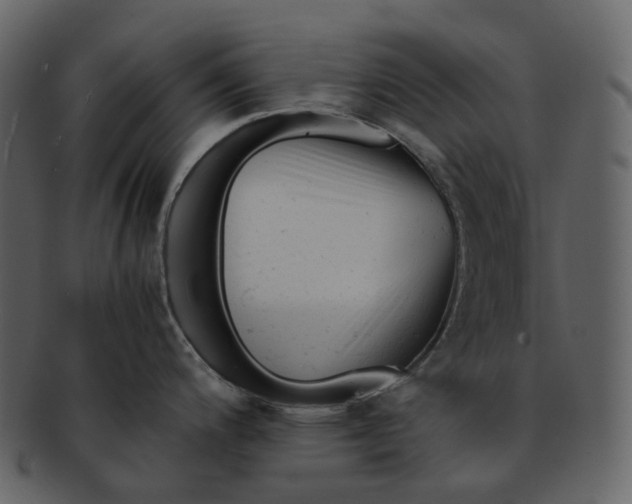 X0000092311200200710051233