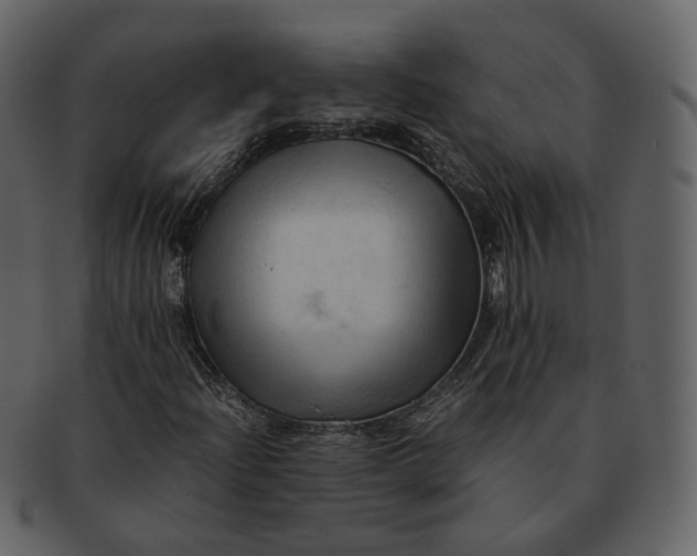 X0000092311204200710051232