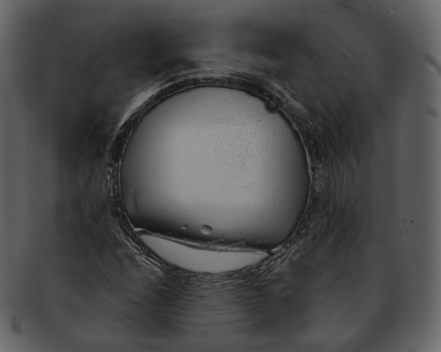 X0000092311208200710051232