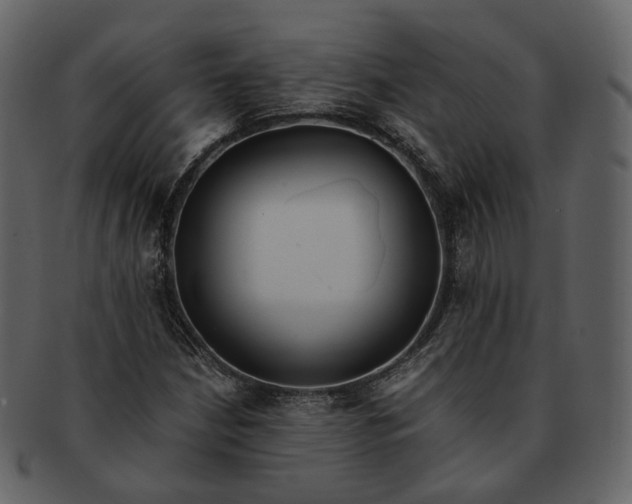 X0000092311210200710051232
