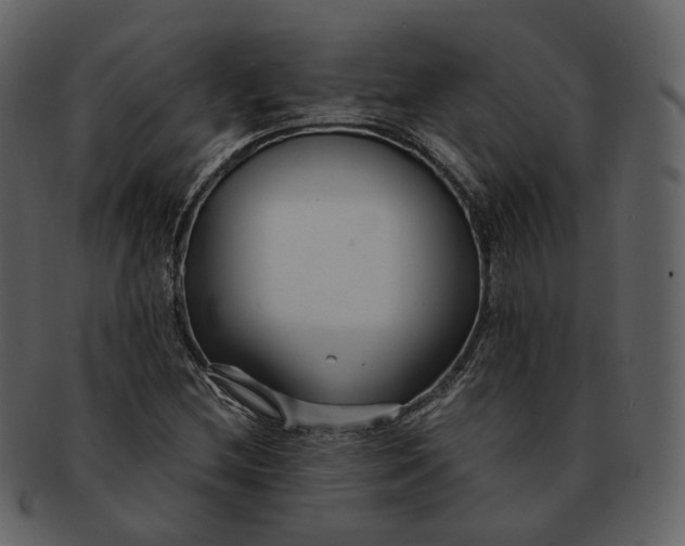 X0000092311212200710051232