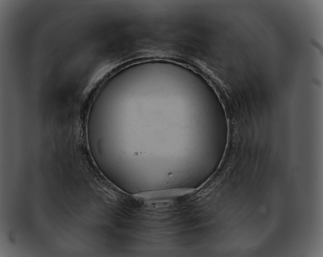 X0000092311215200710051232