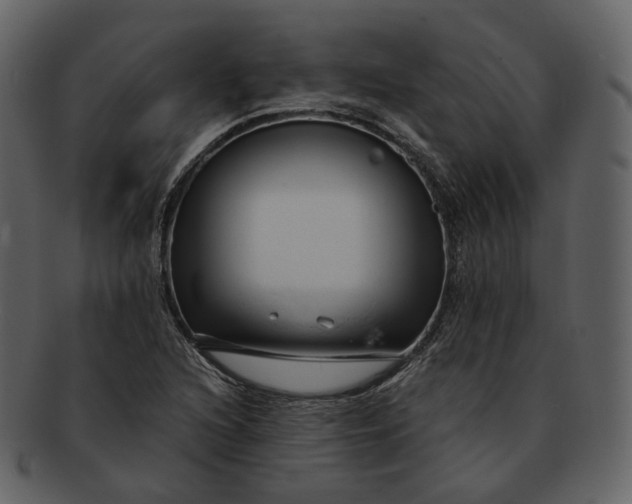 X0000092311216200710051232