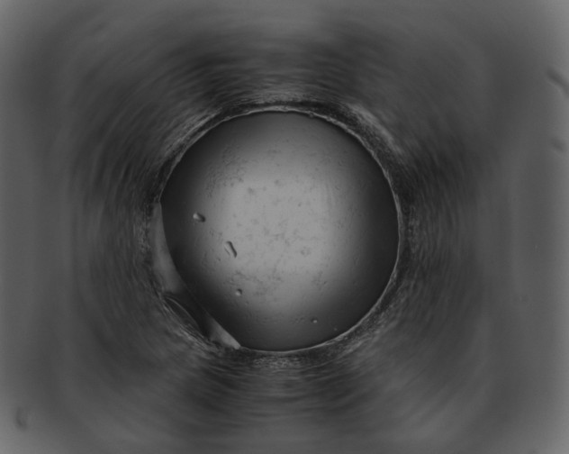 X0000092311217200710051232