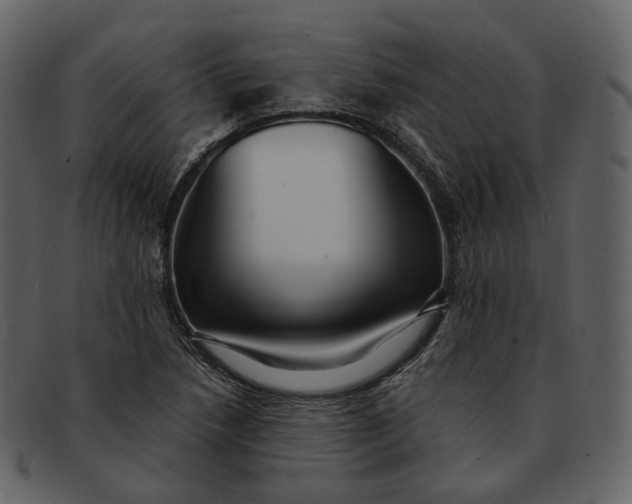 X0000092311218200710051232