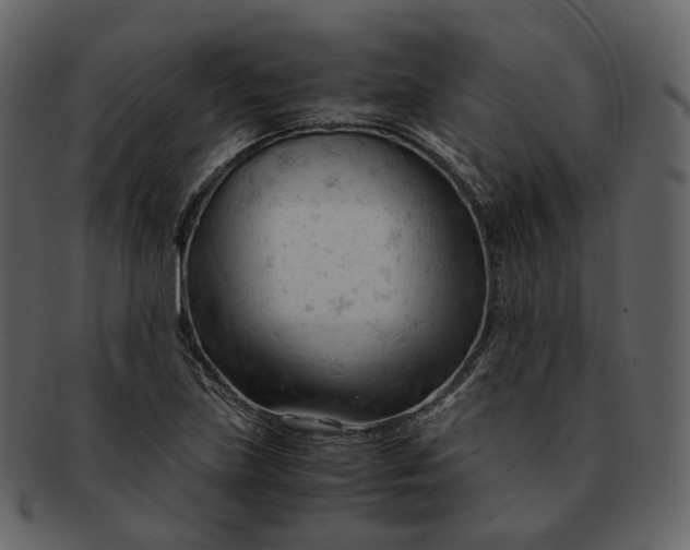 X0000092311219200710051232