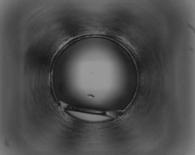 X0000092311220200710051232