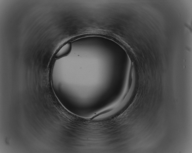 X0000092311222200710051232