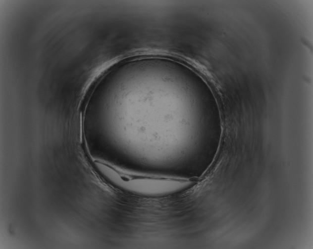 X0000092311223200710051232