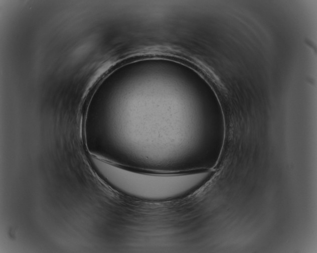 X0000092311224200710051232