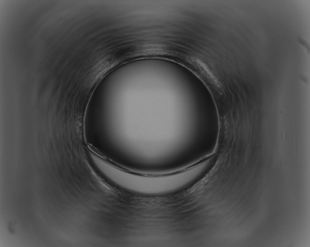X0000092311225200710051232