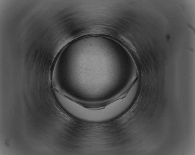 X0000092311226200710051232