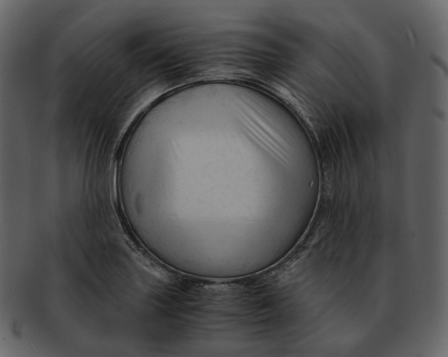 X0000092311227200710051232