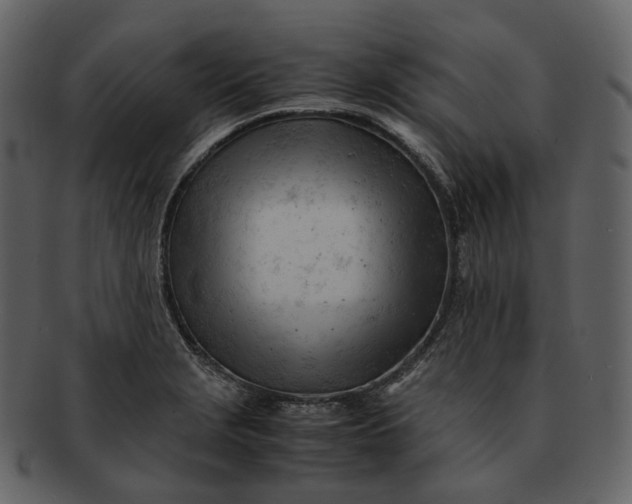 X0000092311229200710051232