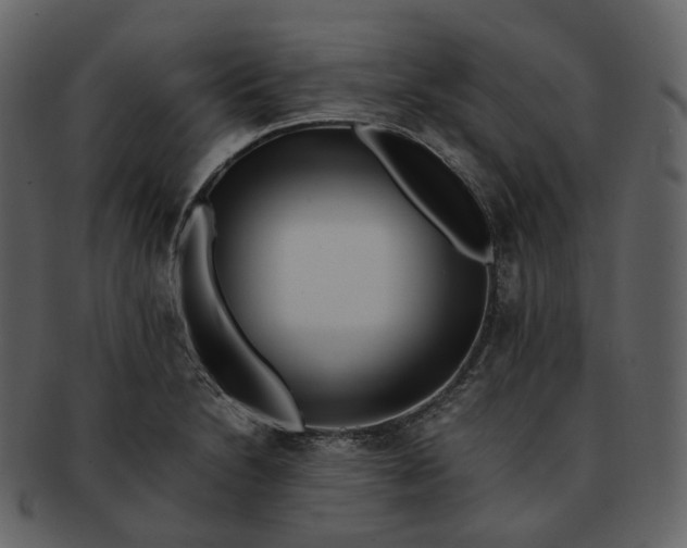 X0000092311230200710051232