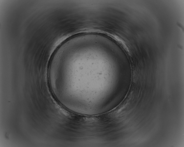 X0000092311231200710051232