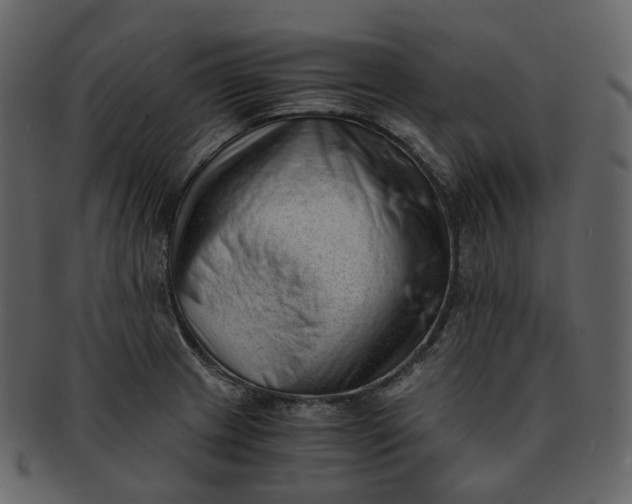 X0000092311233200710051232