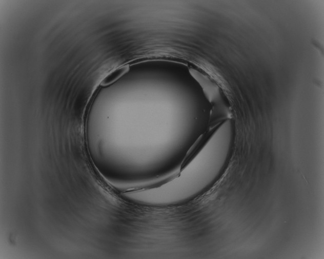 X0000092311234200710051232