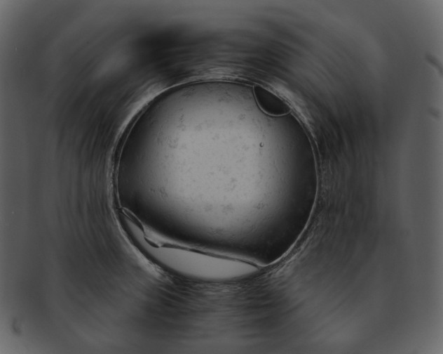 X0000092311235200710051232