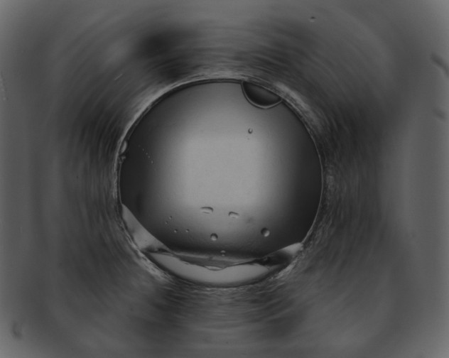 X0000092311236200710051232