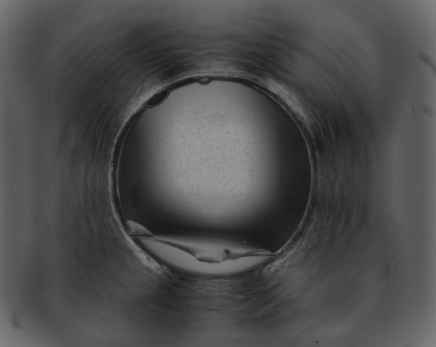 X0000092311237200710051232