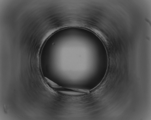 X0000092311238200710051232