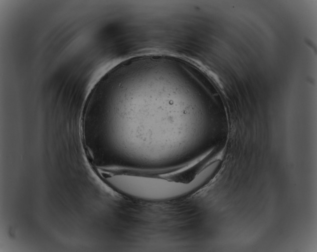 X0000092311239200710051232