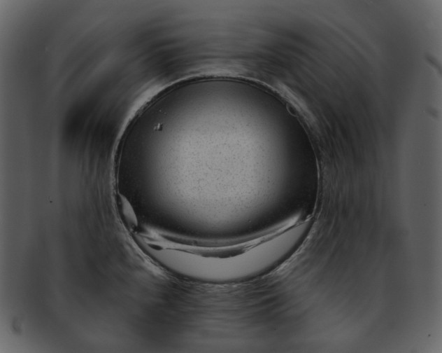X0000092311240200710051232