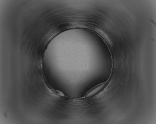 X0000092311241200710051232