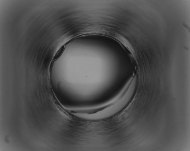 X0000092311242200710051232