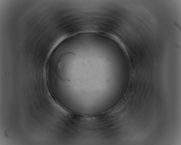 X0000092311243200710051232