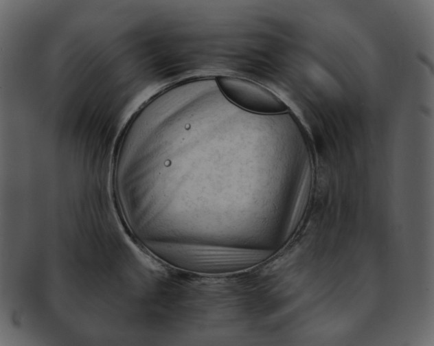 X0000092311245200710051233