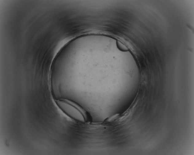 X0000092311247200710051233