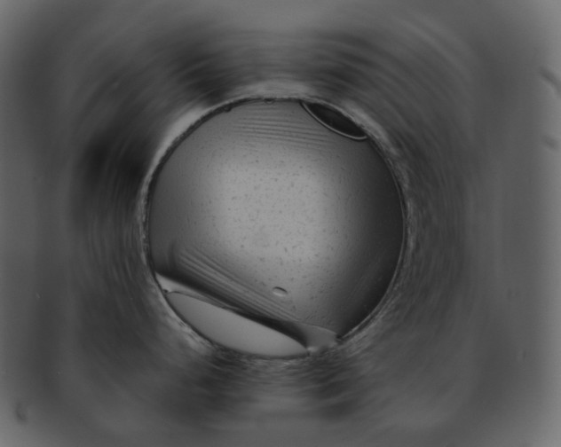 X0000092311248200710051233