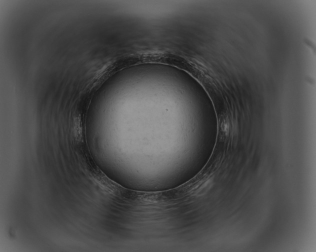 X0000092311252200710051232