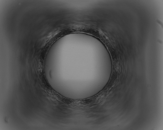 X0000092311253200710051232