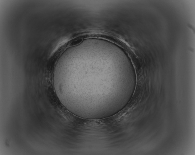 X0000092311255200710051232