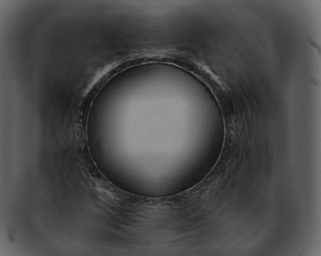 X0000092311256200710051232