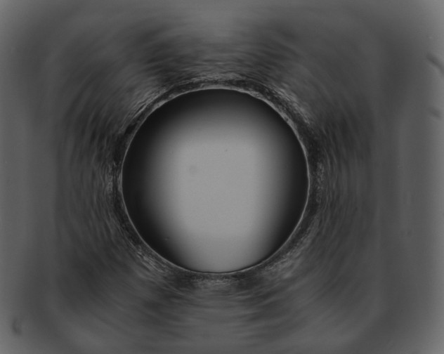 X0000092311257200710051232