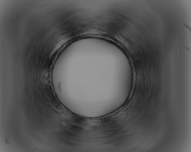X0000092311258200710051232