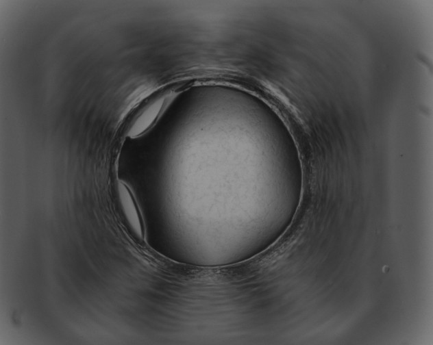 X0000092311259200710051232