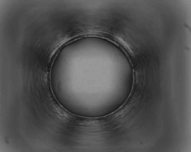 X0000092311260200710051232