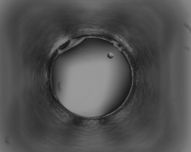 X0000092311261200710051232