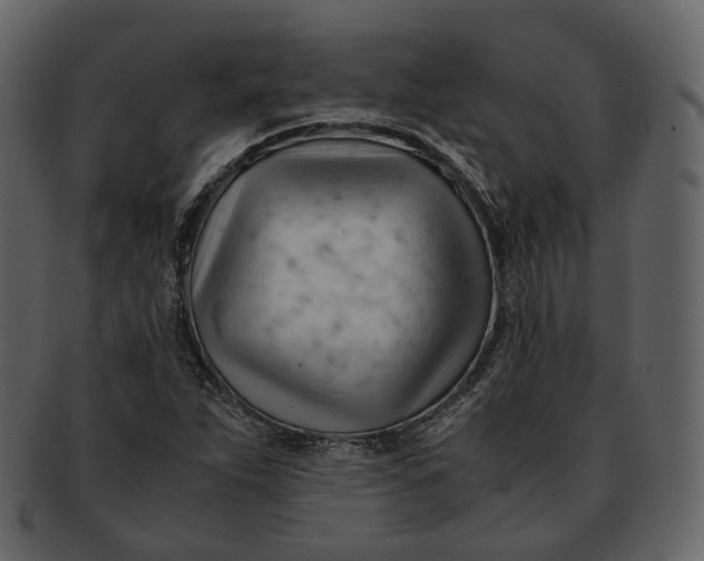 X0000092311263200710051232