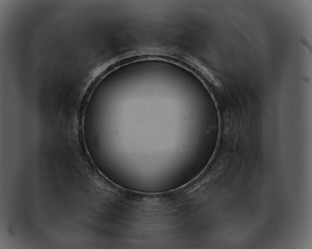 X0000092311264200710051232