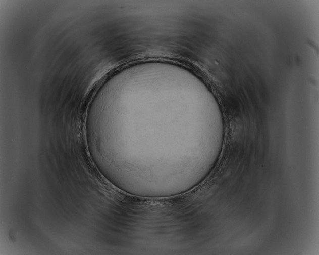 X0000092311266200710051232