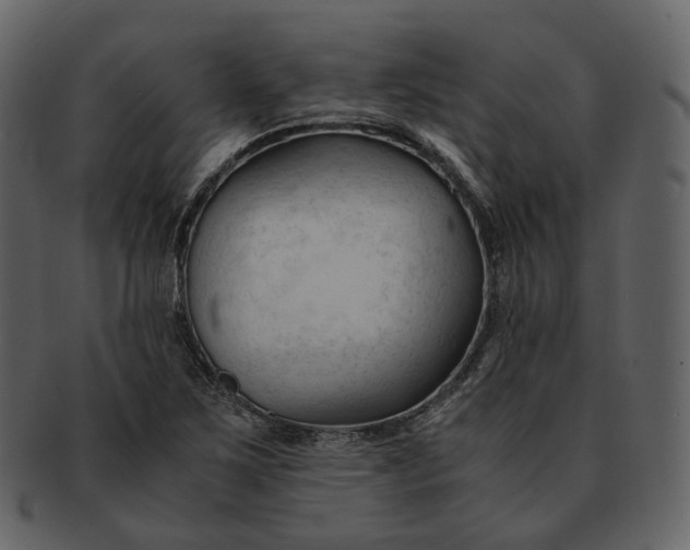 X0000092311267200710051232
